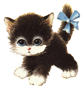 voila les chats ne veulent plus se faire deranger loll